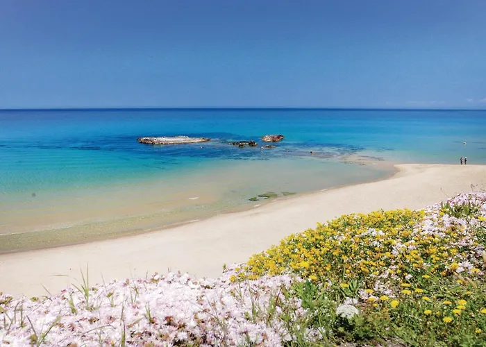 度假居 Gorgeous In Costa Rei Muravera-ca-